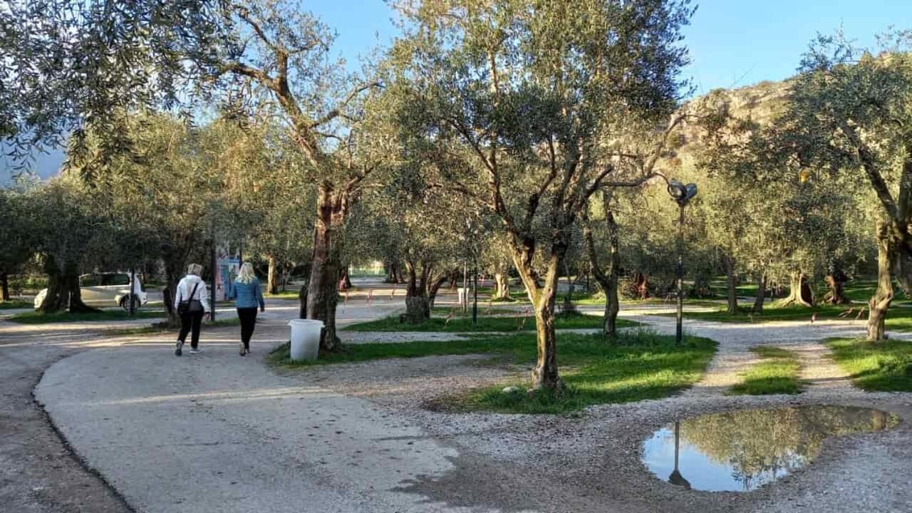 Bed and Breakfast Casa Nataly Torbole Sul Garda Exterior foto